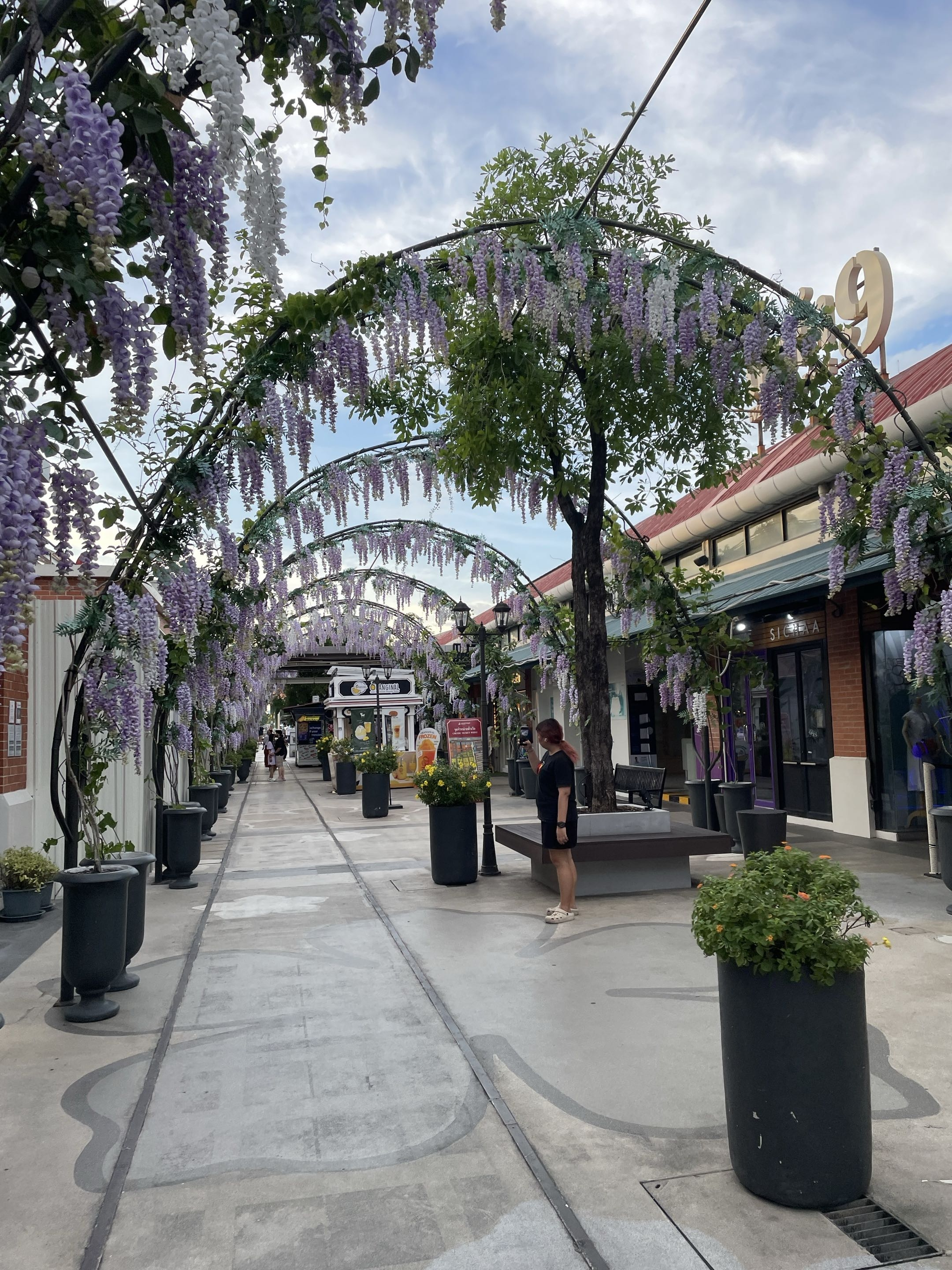 スライド画像 1