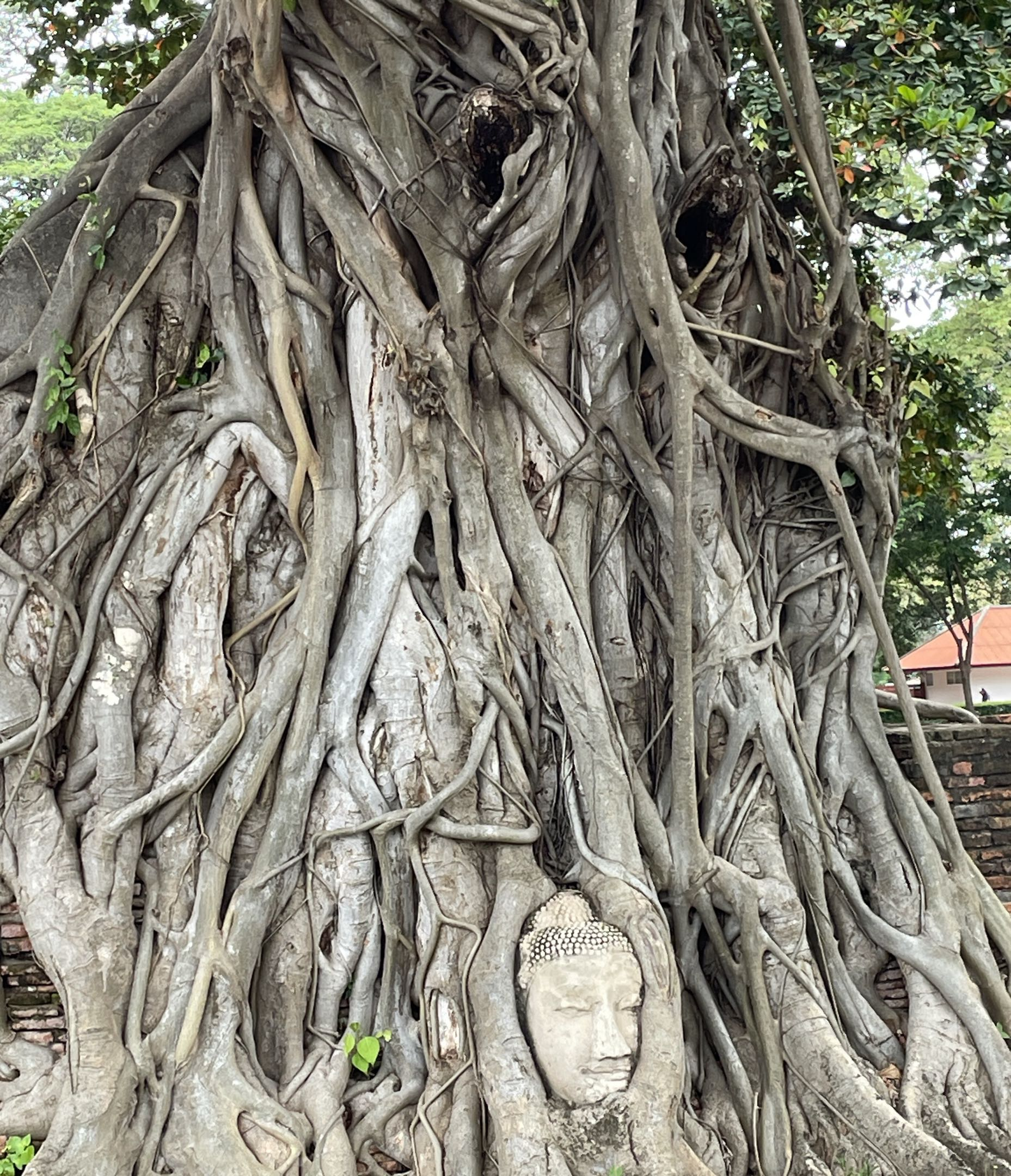 スライド画像 1